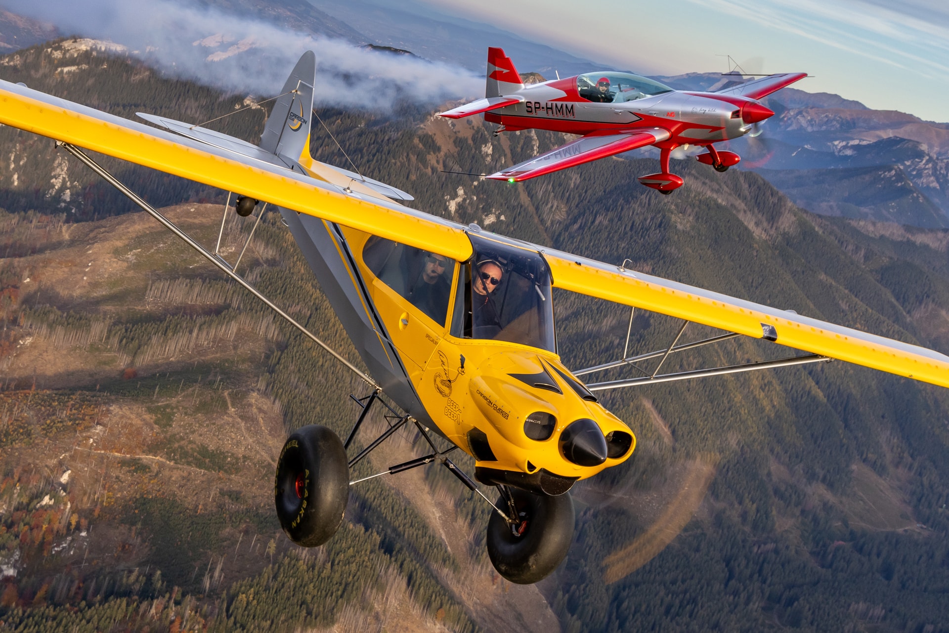 Carbon Cub and Extra 300 Private