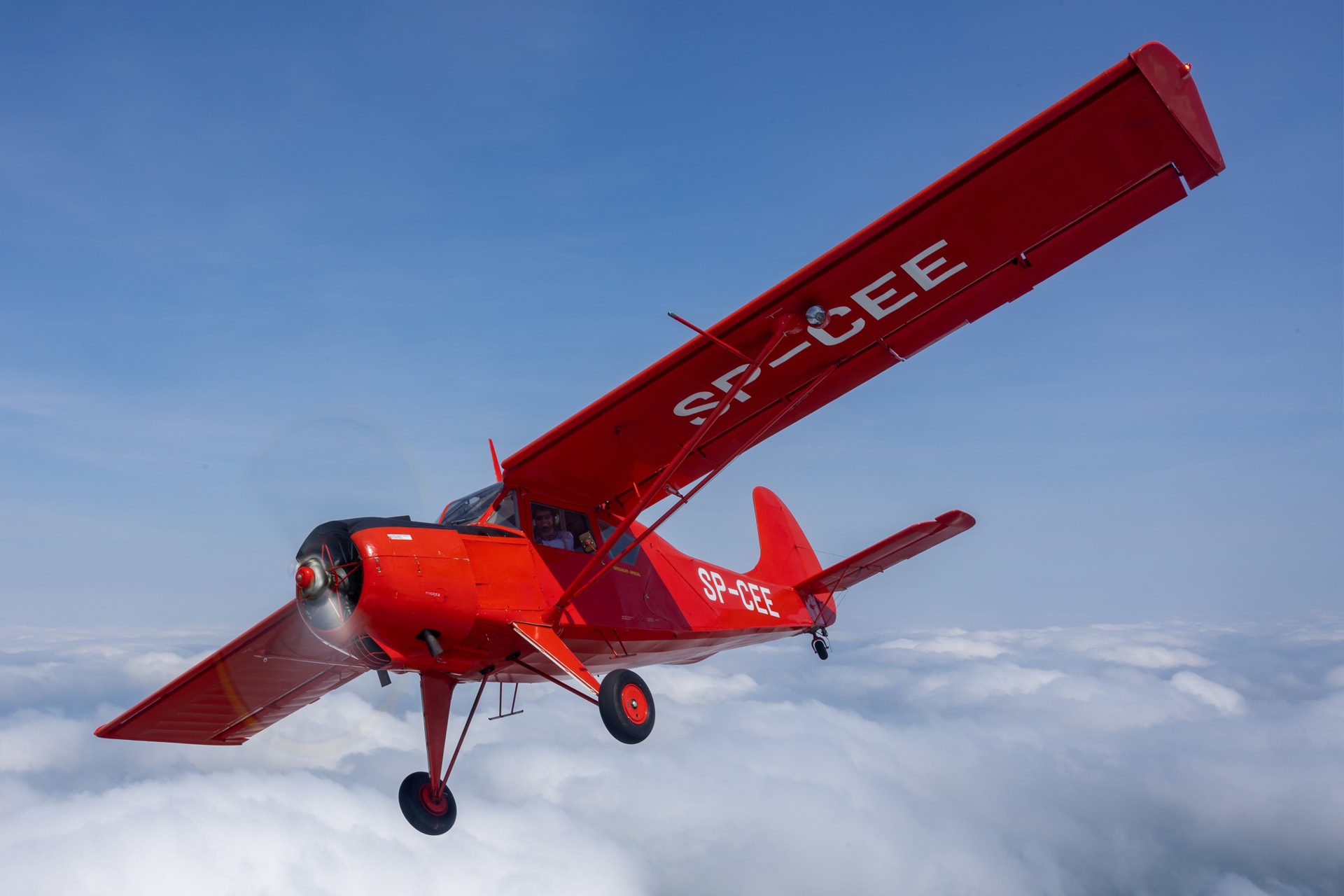 PZL Gawron White-Red Wings