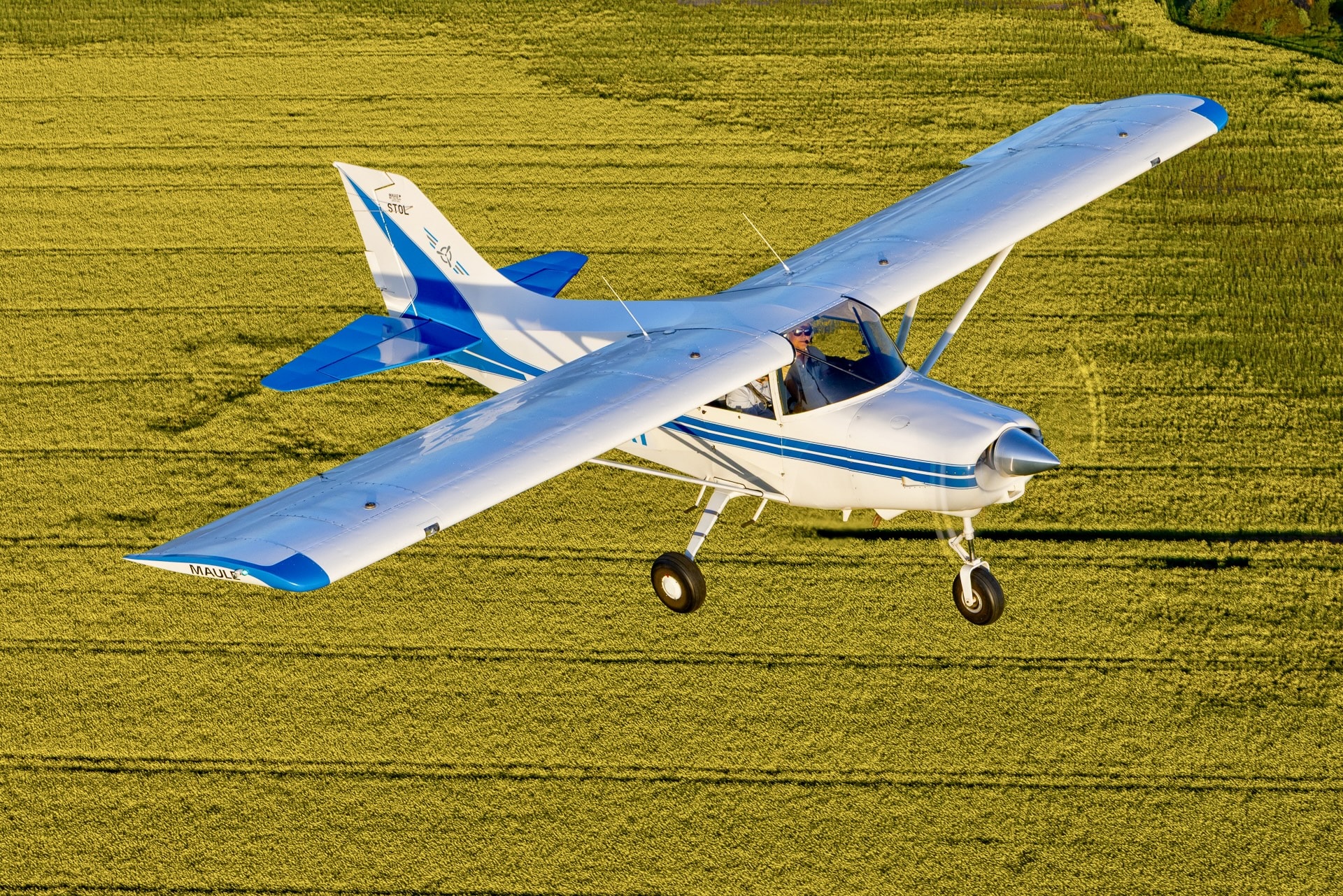 Maule MXT7