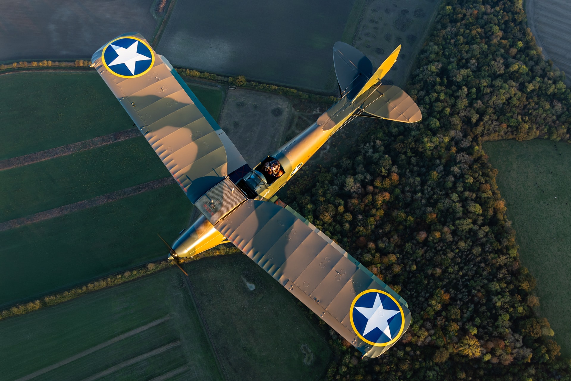 Tiger Moth