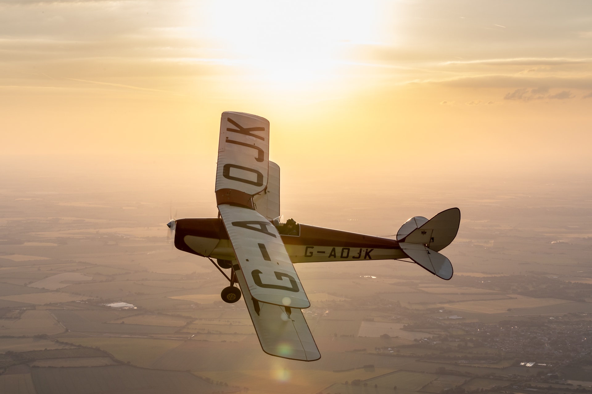 Tiger Moth