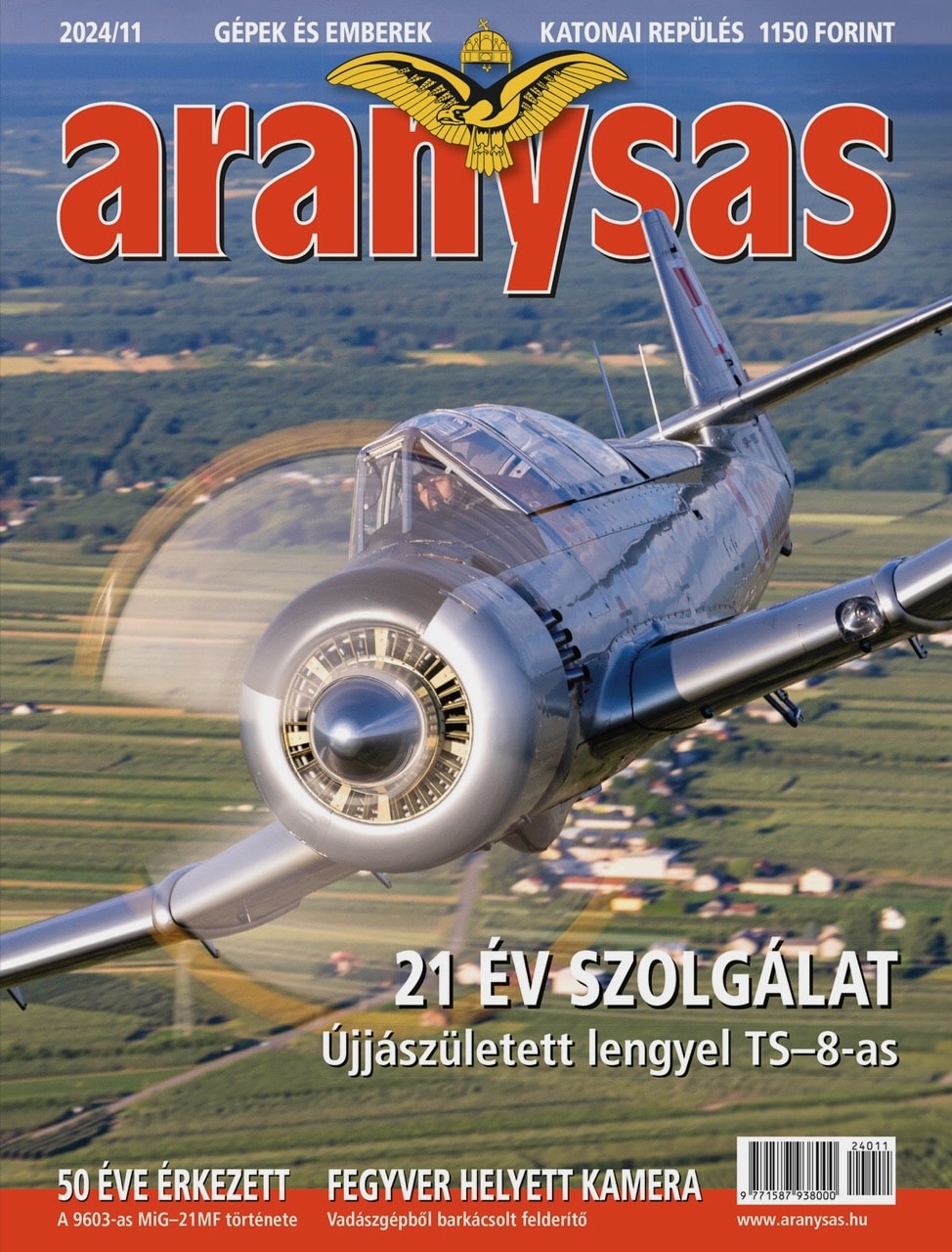 Aranysas cover