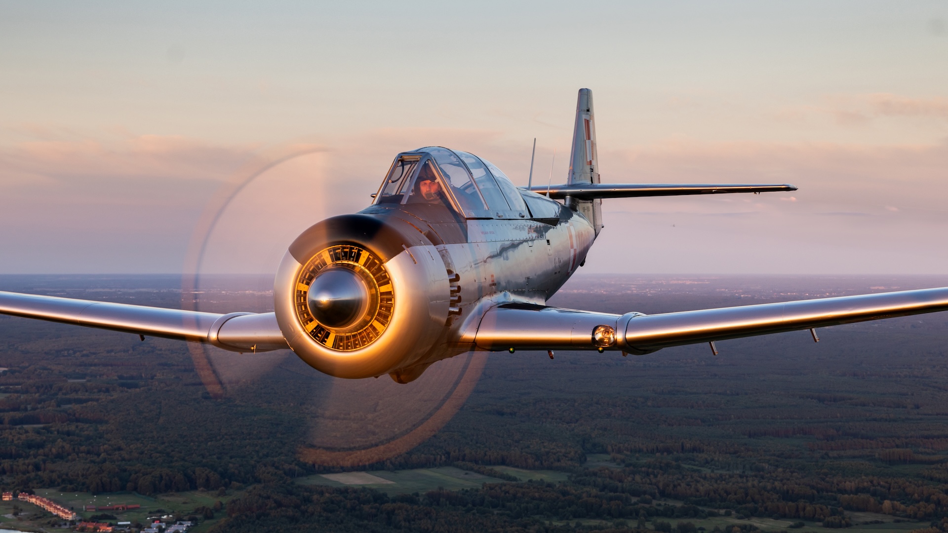 PZL TS-8 Bies · Restored historical construction